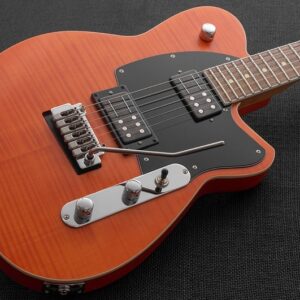 Reverend Reeves Gabrels Signature električna gitara - Slika 2