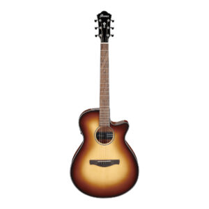 Ibanez AEG50-DHH akustična ozvučena gitara - Slika 1
