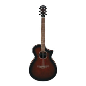 Ibanez AEWC11-DVS akustična ozvučena gitara - Image 1