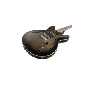 Ibanez AS53-TKF električna semihollow gitara - Slika 4