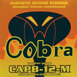 Cobra CAPB-12-M - Slika 1