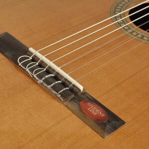 Salvador Cortez CC-10 klasična gitara - Image 5