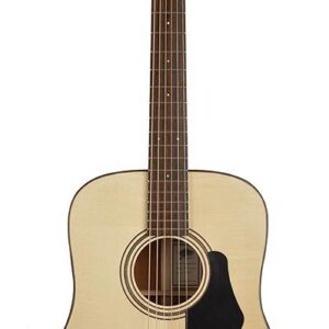 Mayson ESD10 Dreadnought akustična gitara - Slika 2