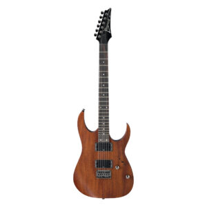 Ibanez RG421-MOL električna gitara - Slika 1