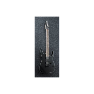 Ibanez RG421EX-BKF električna gitara - Slika 3