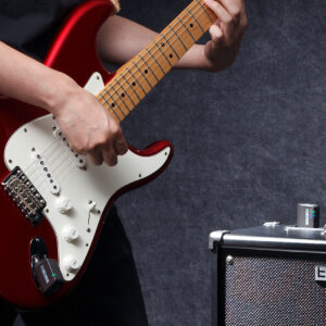 Boss WL-20 bežični instrumentalni sistem - Slika 3