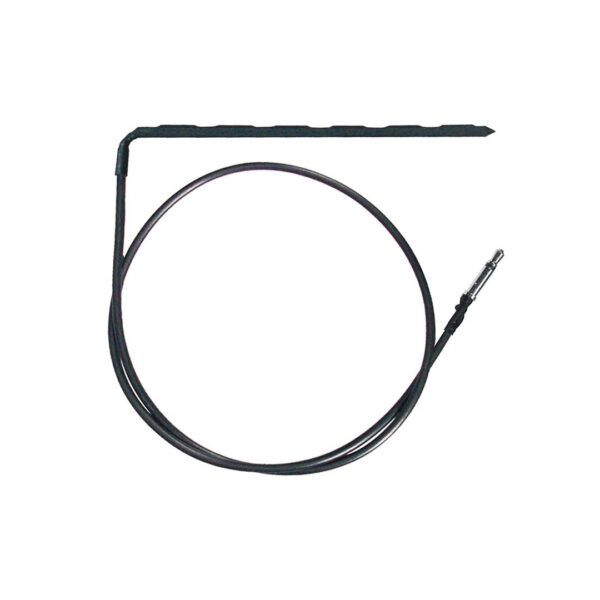 BSP-10
